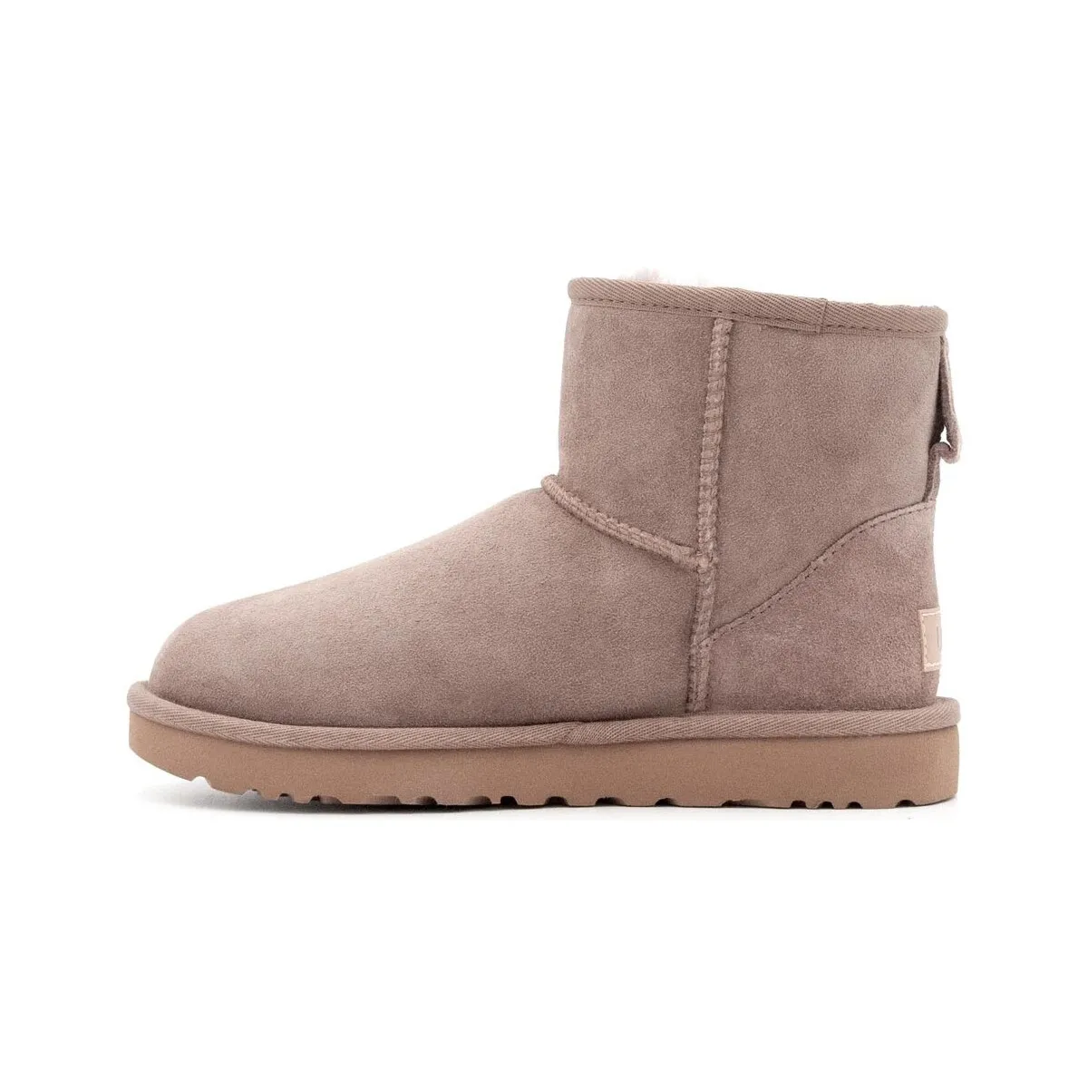 1016222CARIBOU