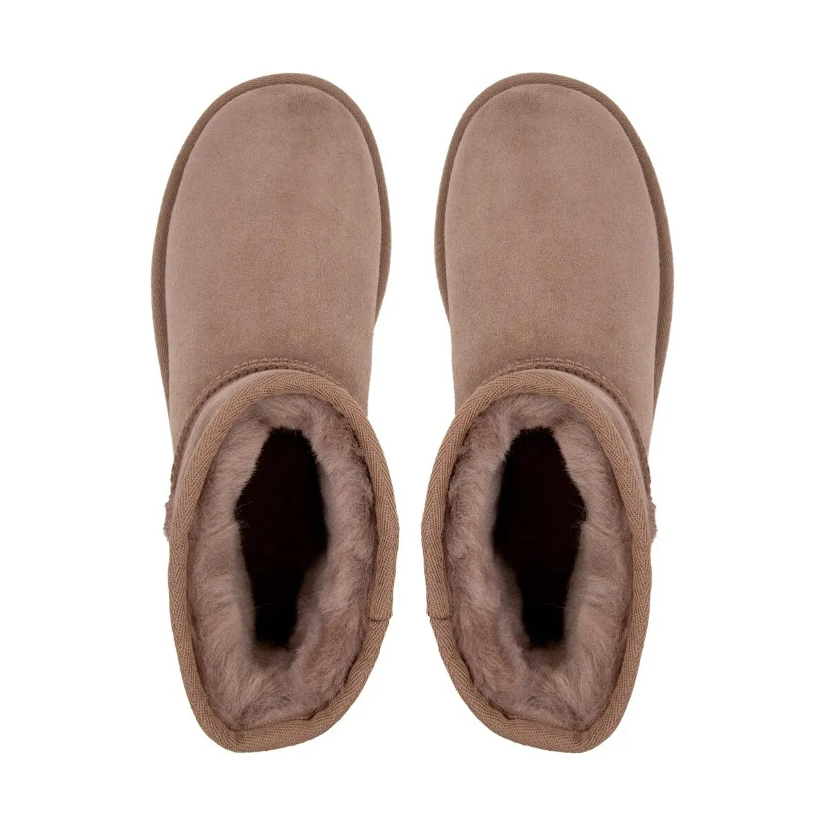1016222CARIBOU