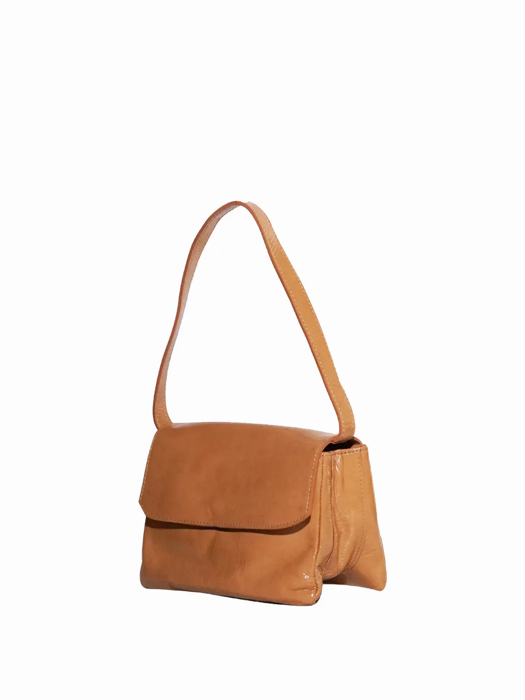 Babe camel