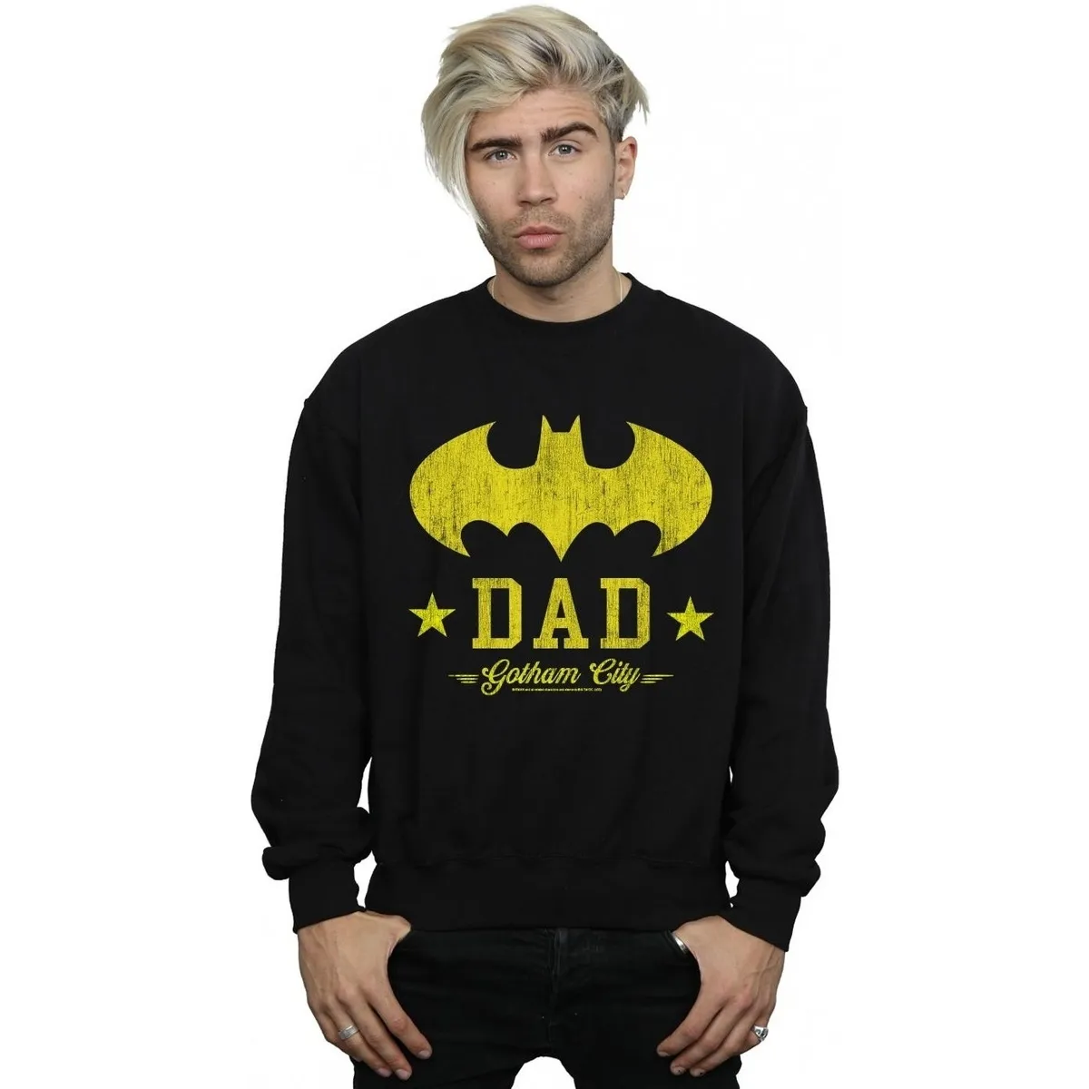 Batman I Am Bat Dad