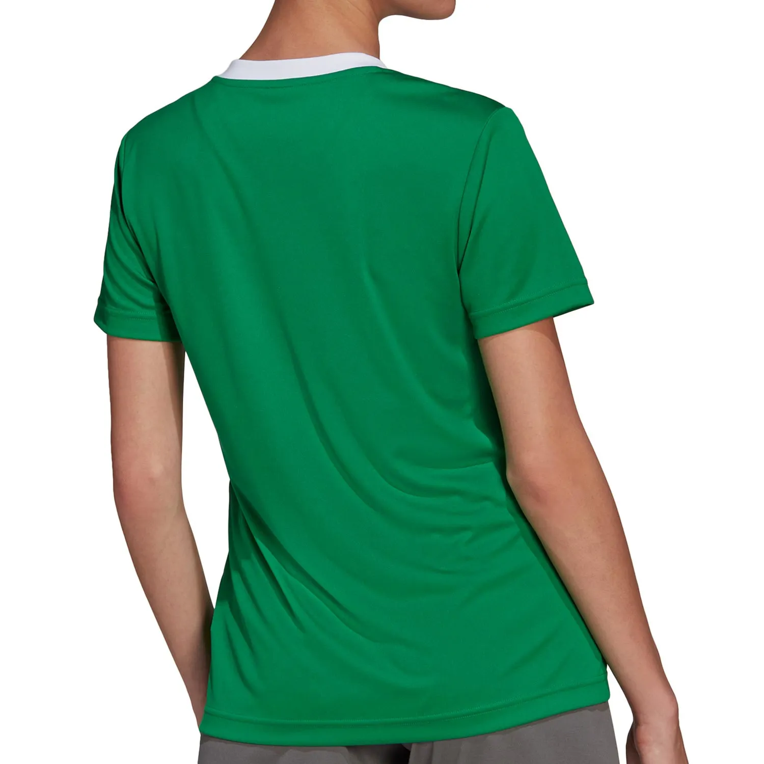 Camiseta adidas Entrada 22 mujer