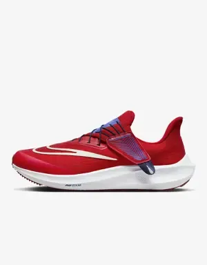 Nike Pegasus FlyEase