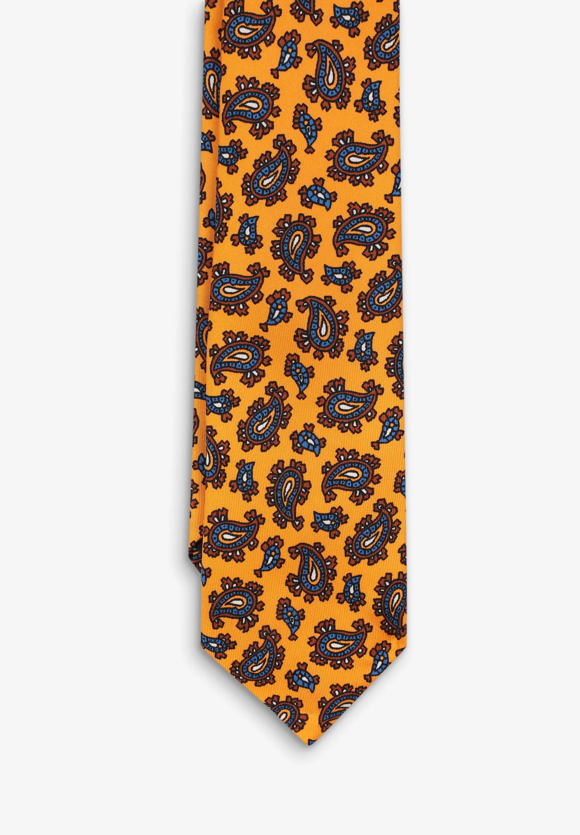 PAISLEY TIE