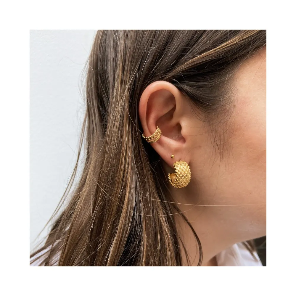 Pendientes Akira (PAR)