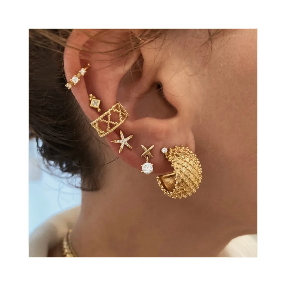 Pendientes Akira (PAR)