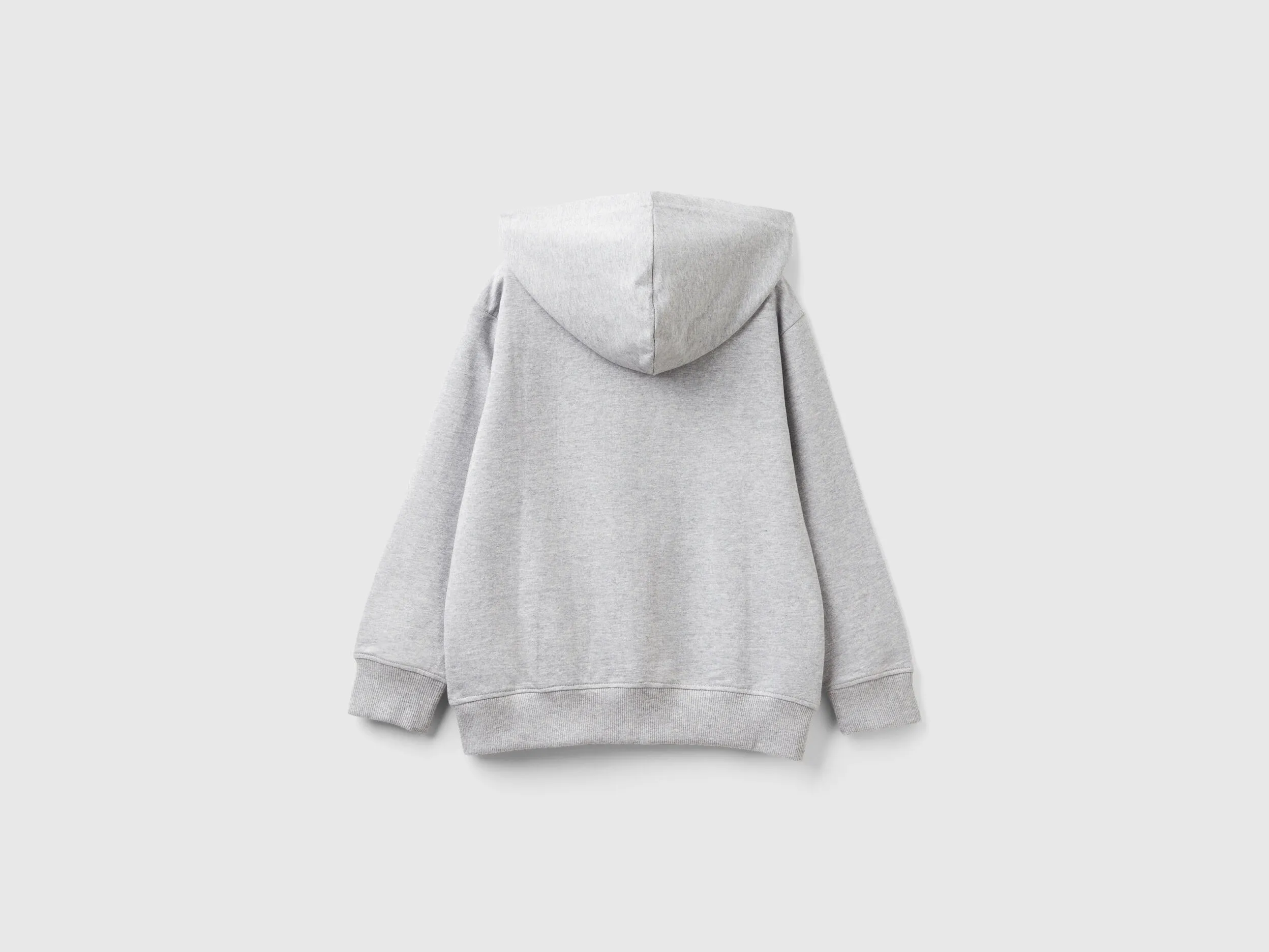 Sudadera con cremallera y capucha
