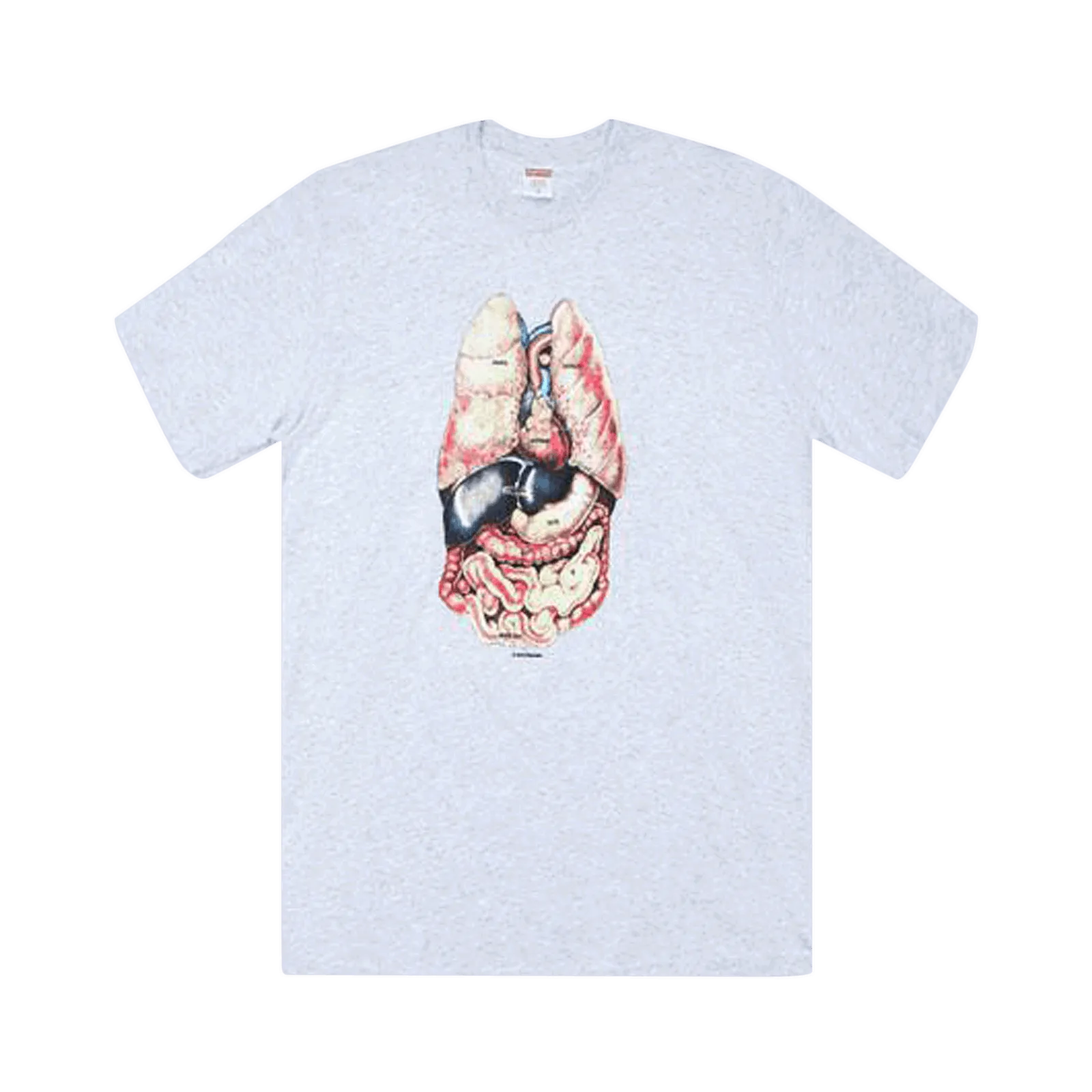 Supreme Guts Tee