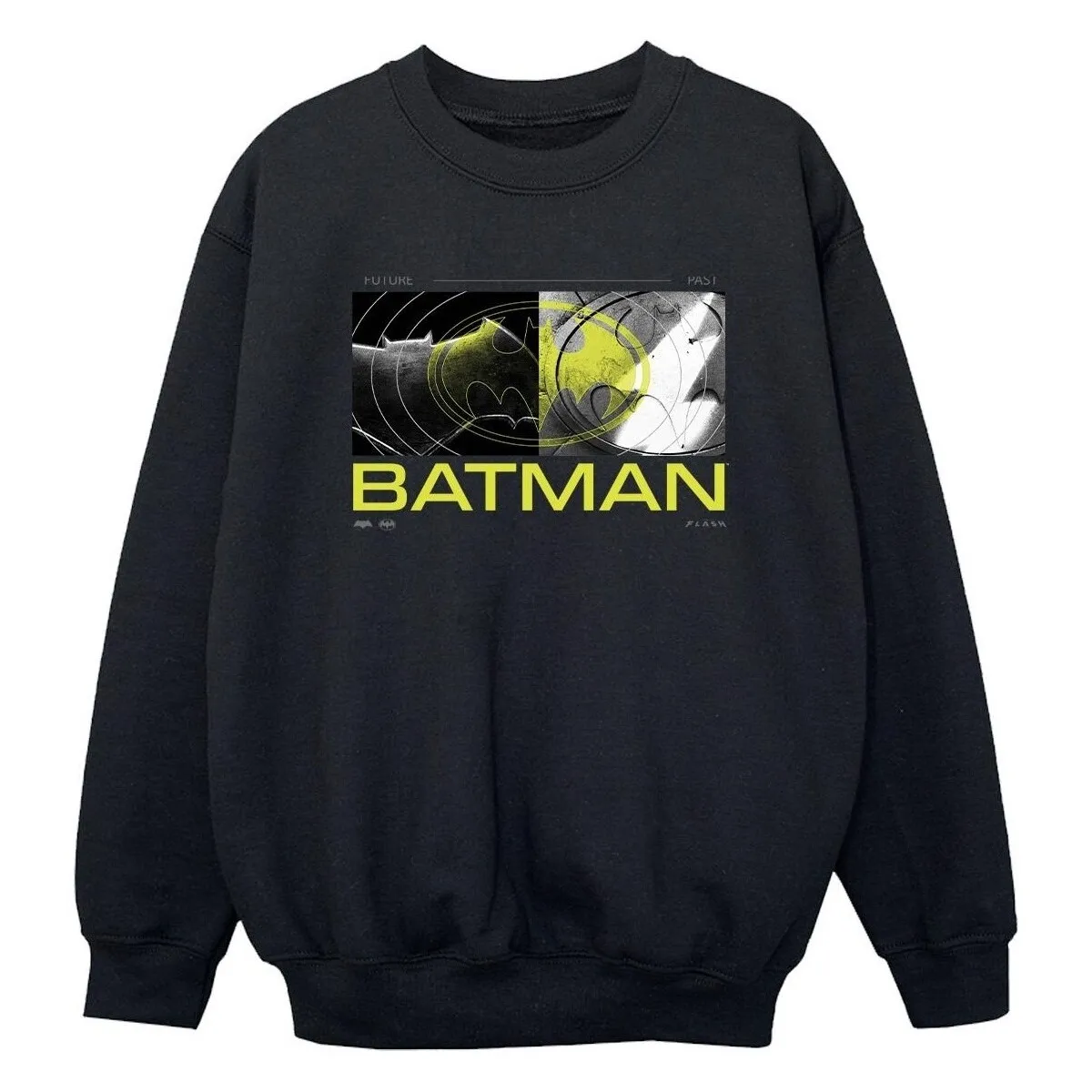 The Flash Batman Future To Past
